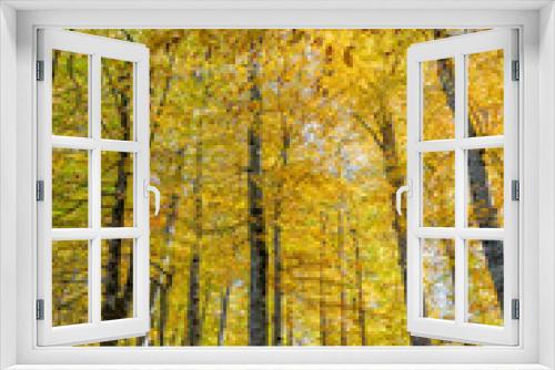 Fototapeta Naklejka Na Ścianę Okno 3D - autumn landscape in the forest