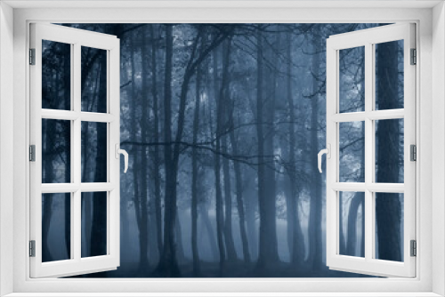 Fototapeta Naklejka Na Ścianę Okno 3D - Dark foggy forest