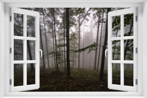 Fototapeta Naklejka Na Ścianę Okno 3D - Forest in the fog - Babia Gora Mountain - Beskidy Mountains
