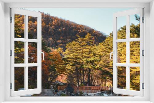 Fototapeta Naklejka Na Ścianę Okno 3D - Autumn scenery at sunny day