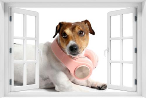 Fototapeta Naklejka Na Ścianę Okno 3D - Cute Jack Russel Terrier with headphones on white background