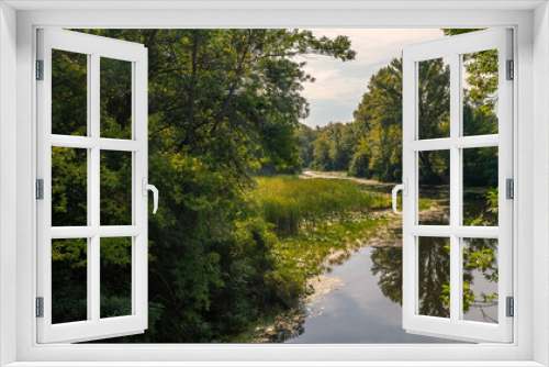 Fototapeta Naklejka Na Ścianę Okno 3D - A small river with calm waters and flowering water lilies along the banks flows in a wooded area. Beautiful nature.