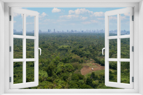 Fototapeta Naklejka Na Ścianę Okno 3D - Deforestation in the rainforest the lung with a background of the city