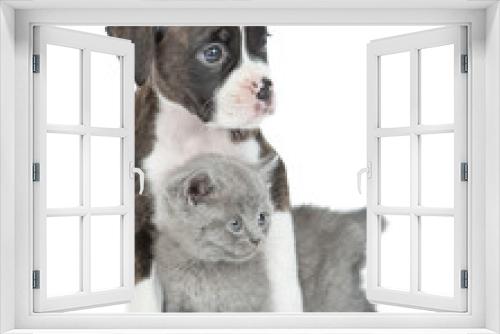 Fototapeta Naklejka Na Ścianę Okno 3D - Friendly German Boxer puppy dog hugs tiny kitten. isolated on white background