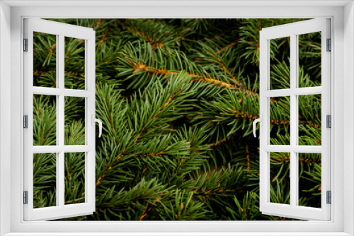 Fototapeta Naklejka Na Ścianę Okno 3D - Christmas tree, branches. Christmas, New Year. Wallpaper. Flat lay, top view