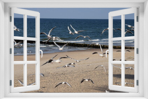 Fototapeta Naklejka Na Ścianę Okno 3D - mewy, morze