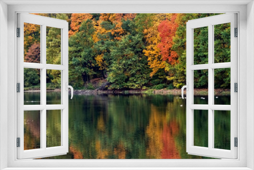 Fototapeta Naklejka Na Ścianę Okno 3D - Scenic autumn landscape with colorful trees by the lake and ducks