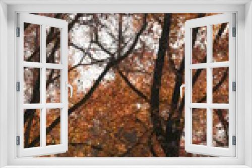 Fototapeta Naklejka Na Ścianę Okno 3D - The beautiful autumn view with the colorful leaves in the forest