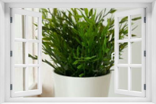 Fototapeta Naklejka Na Ścianę Okno 3D - Artificial green grass in white pot. Interior objects concept.