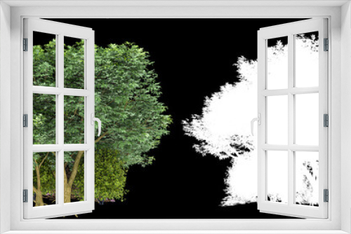 Fototapeta Naklejka Na Ścianę Okno 3D - Forest isolated on background with mask. 3d rendering - illustration