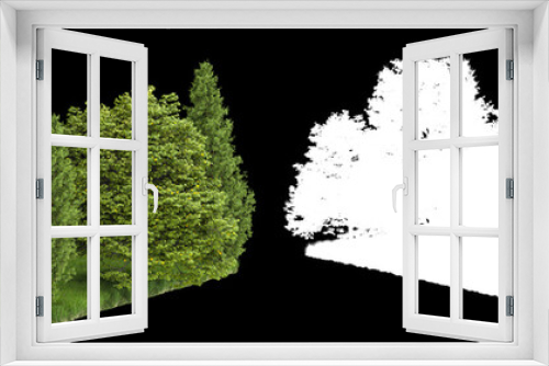 Fototapeta Naklejka Na Ścianę Okno 3D - Forest isolated on background with mask. 3d rendering - illustration