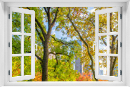 Fototapeta Naklejka Na Ścianę Okno 3D - Trees and buildings from Central Park in foliage season, New York City.