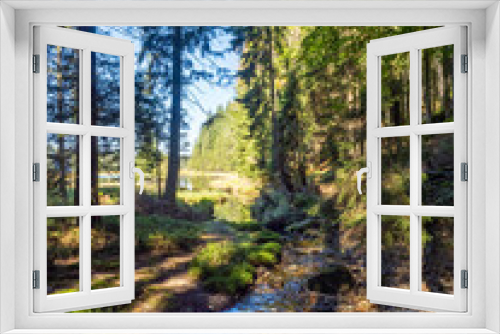 Fototapeta Naklejka Na Ścianę Okno 3D - Bayrischer Wald