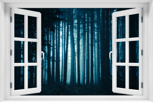 Fototapeta Naklejka Na Ścianę Okno 3D - forest in night