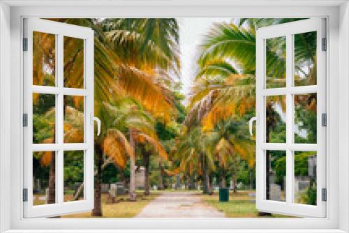 Fototapeta Naklejka Na Ścianę Okno 3D - palm trees cemetery Miami Florida 