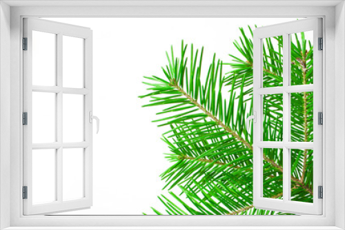 Fototapeta Naklejka Na Ścianę Okno 3D - Spruce branch on a white background