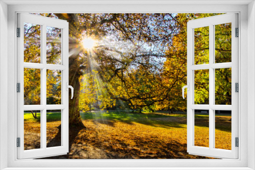 Fototapeta Naklejka Na Ścianę Okno 3D - Herbststimmung