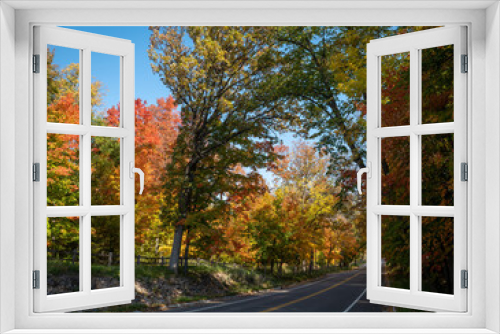 Fototapeta Naklejka Na Ścianę Okno 3D - Autumn street or road or lane with colorful leaves and blue sky on a sunny morning. The asphalt highway and wooden fence are mostly shadded by the tall trees.