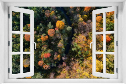 Fototapeta Naklejka Na Ścianę Okno 3D - Beautiful colors of autumn. Forest and river photographed with a drone on sunny day. Regional park of neris in Lithuania. Real is beautiful  