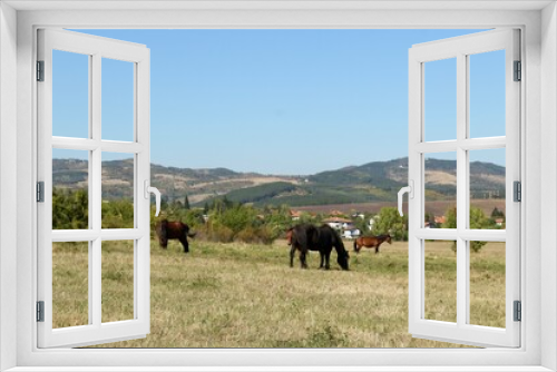 Fototapeta Naklejka Na Ścianę Okno 3D - Horses in the fields with village houses and mountains at the background