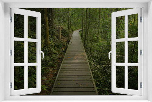Fototapeta Naklejka Na Ścianę Okno 3D - Taman Negara National Park, pathway
