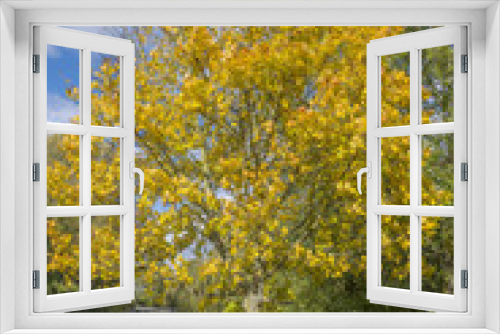 Fototapeta Naklejka Na Ścianę Okno 3D - autumn