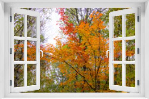 Fototapeta Naklejka Na Ścianę Okno 3D - Fall colors in the Canadian forest in the province of Quebec