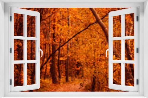 Fototapeta Naklejka Na Ścianę Okno 3D - Autumn forest background. Yellow leaves on trees. Scenic pathway.