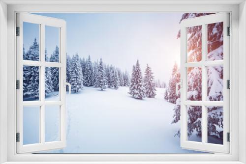Fototapeta Naklejka Na Ścianę Okno 3D - Exotic view of snow-capped spruces on a frosty day.