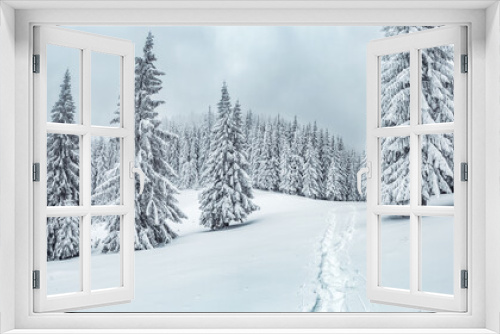 Fototapeta Naklejka Na Ścianę Okno 3D - Picturesque view of snow-capped spruces on a frosty day.