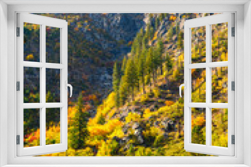 Fototapeta Naklejka Na Ścianę Okno 3D - Fall colors illuminate the walls of Tumwater Canyon near Leavenworth in the Washington Cascade Mountains