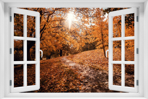 Fototapeta Naklejka Na Ścianę Okno 3D - Path in the autumn park
