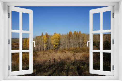 Fototapeta Naklejka Na Ścianę Okno 3D - Forest landscape on a sunny autumn day