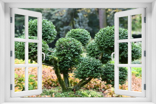 Fototapeta Naklejka Na Ścianę Okno 3D - Roślinność