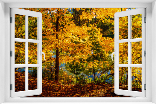 Fototapeta Naklejka Na Ścianę Okno 3D - incredible autumn landscape with colorful leaves