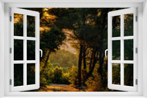 Fototapeta Naklejka Na Ścianę Okno 3D - Golden sunset on the forest of Montagne Sainte-Victoire in Provence, France