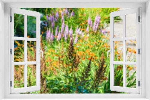 Fototapeta Naklejka Na Ścianę Okno 3D - Summer Garden Blooms 5