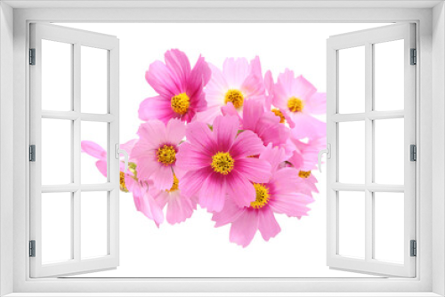 Fototapeta Naklejka Na Ścianę Okno 3D - 白背景のコスモスの花束