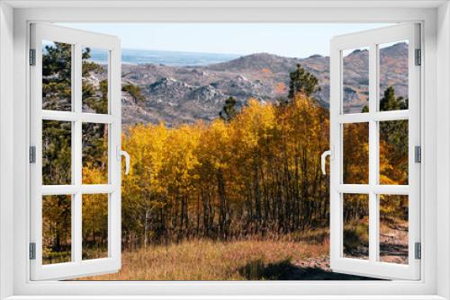Fototapeta Naklejka Na Ścianę Okno 3D - Autumn Trees in Wyoming Mountain Range Rocky Mountains
