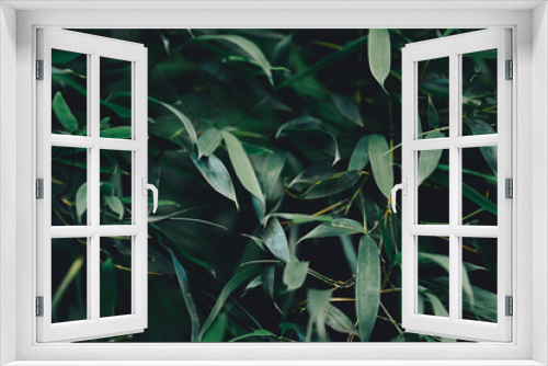 Fototapeta Naklejka Na Ścianę Okno 3D - background texture of a dark green leaves dark mood Vintage-style Natural background and wallpaper