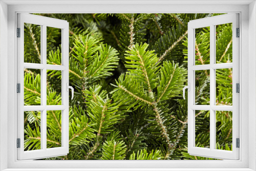 Fototapeta Naklejka Na Ścianę Okno 3D - Background of Christmas tree green branches