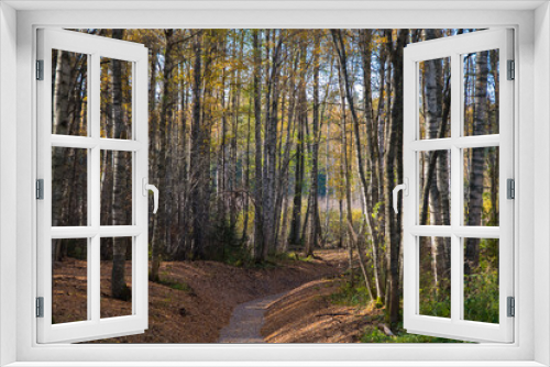 Fototapeta Naklejka Na Ścianę Okno 3D - A beautiful forest ravine with crumbling autumn leaves and meadows in the distance