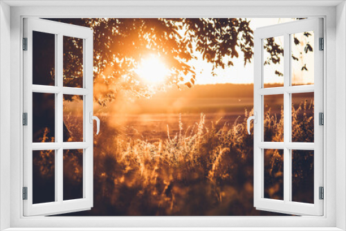 Fototapeta Naklejka Na Ścianę Okno 3D - Piękny zachód słońca jesienią