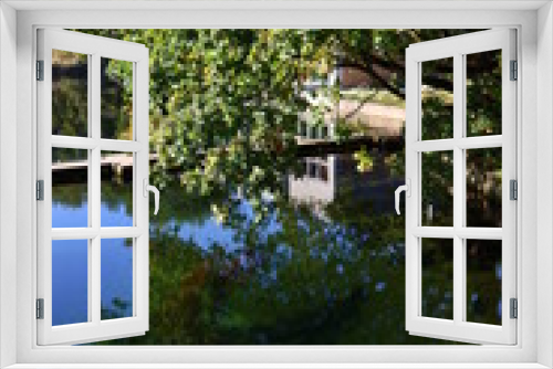 Fototapeta Naklejka Na Ścianę Okno 3D - Beautiful lake in a park. Calm blue water, big green trees, blue sky. Sunny day in autumn park. Nature of the Netherlands. 