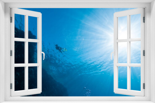 Fototapeta Naklejka Na Ścianę Okno 3D - freediver dives into deep blue water