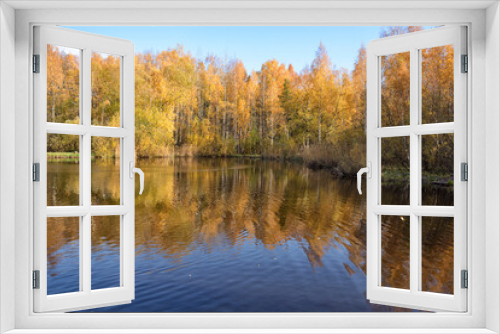 Fototapeta Naklejka Na Ścianę Okno 3D - Autumn in a birch grove.