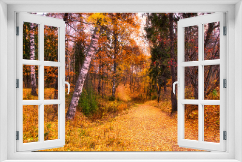 Fototapeta Naklejka Na Ścianę Okno 3D - golden autumn landscape park, picturesque autumn trees fallen