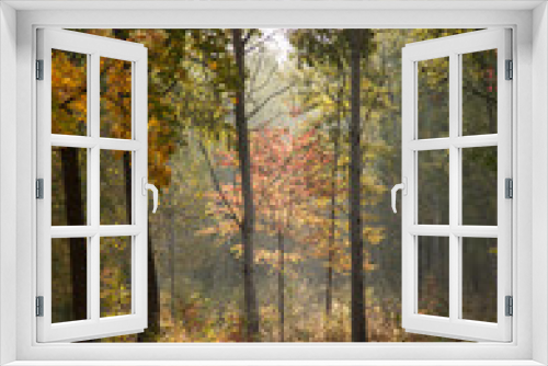 Fototapeta Naklejka Na Ścianę Okno 3D - Beautiful autumn landscape