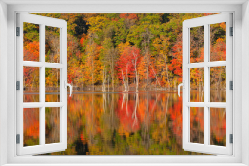 Fototapeta Naklejka Na Ścianę Okno 3D - Panorama of trees in autumn color reflecting in a lake in northern Minnesota