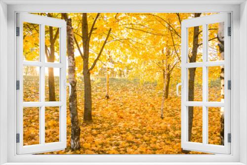 Fototapeta Naklejka Na Ścianę Okno 3D - Autumn Park. Autumn trees in the park. Beautiful sunlight in the autumn park. Trees with yellow leaves . Yellow maple leaves close-up. Autumn landscape.